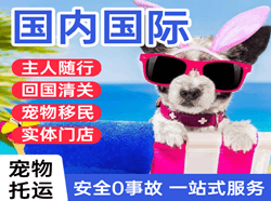 邵阳武冈国际宠物托运 【国